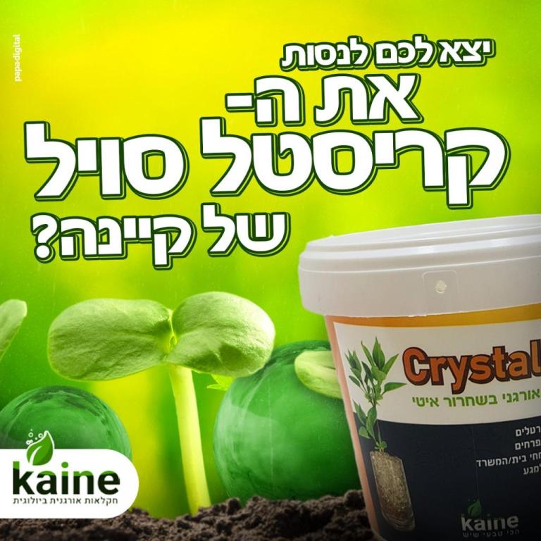 קיינה לנציאנו ועוז בעמ קיינה לנציאנו ועוז בעמ