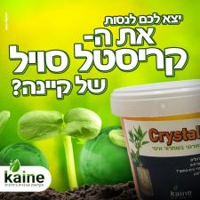 קיינה לנציאנו ועוז בעמ