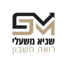 משעלי שגיא רואה חשבון