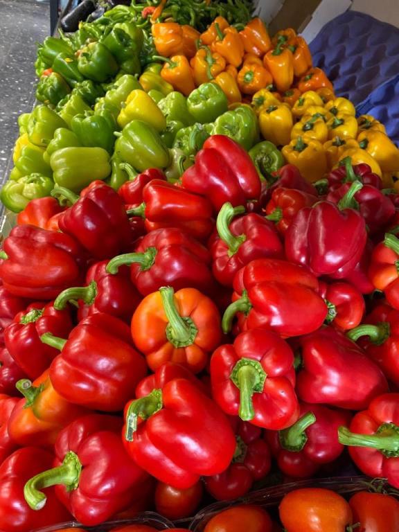 ירק בוטיק ירק בוטיק