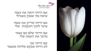 רוני ארז לוי