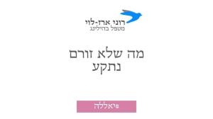 רוני ארז לוי