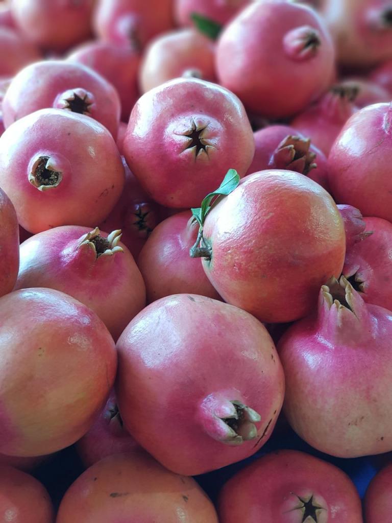 פינת הפרי והירק פינת הפרי והירק