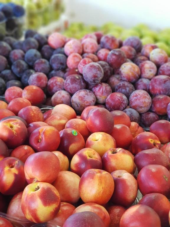 פינת הפרי והירק פינת הפרי והירק