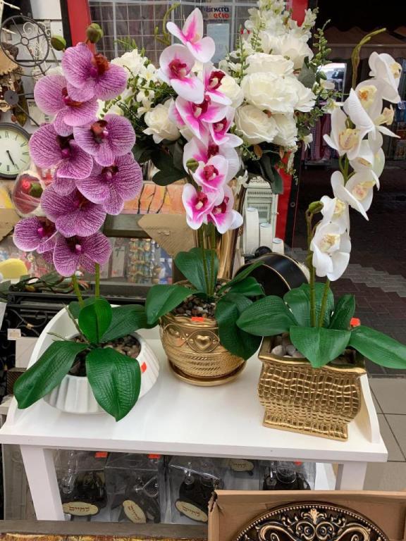 מונופול מונופול