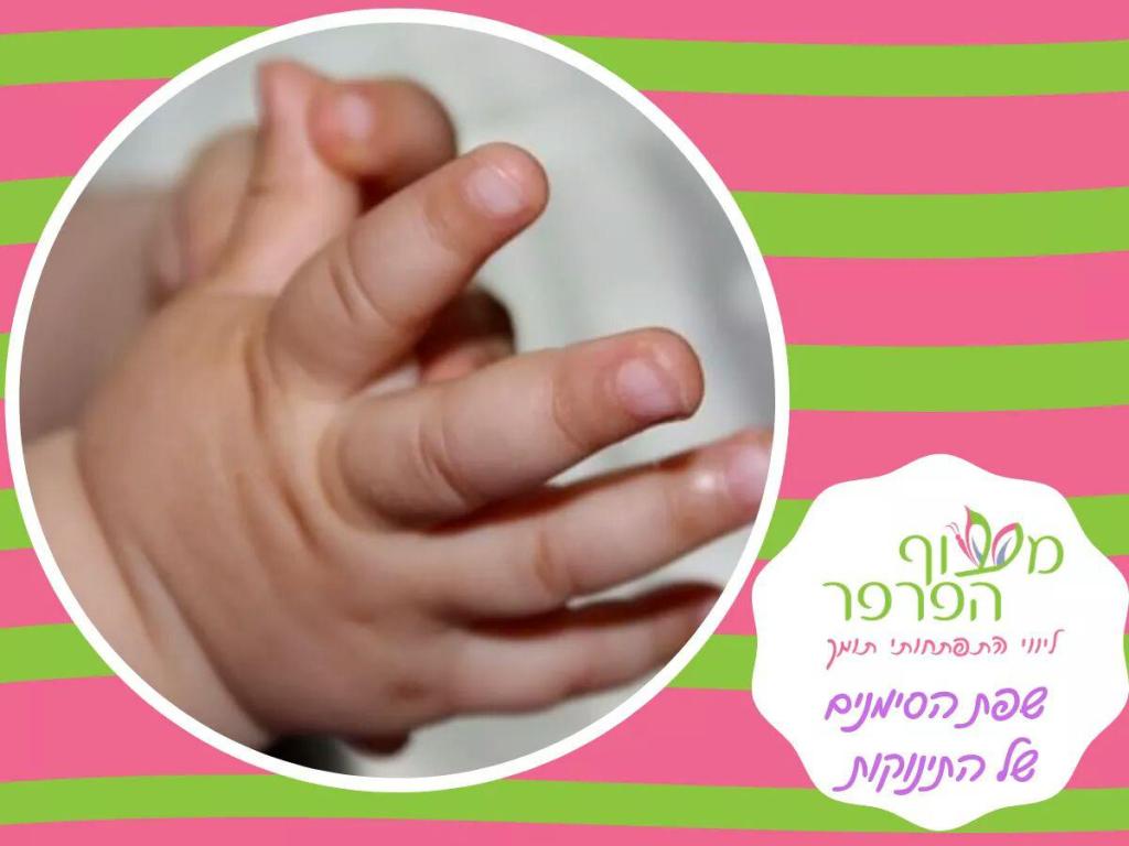 מעוף הפרפר מעוף הפרפר