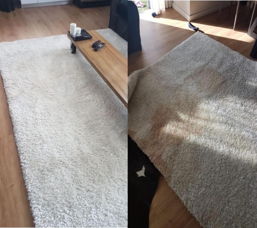 קלין היט קלין היט