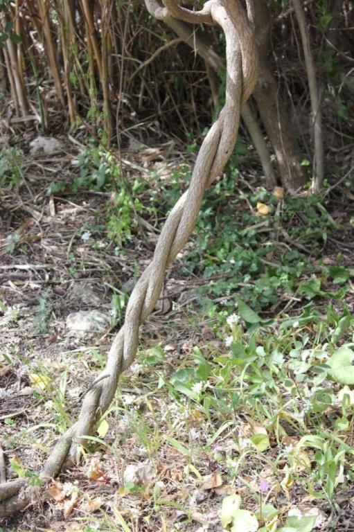 דרך הטבע אהרון עובדיה דרך הטבע אהרון עובדיה