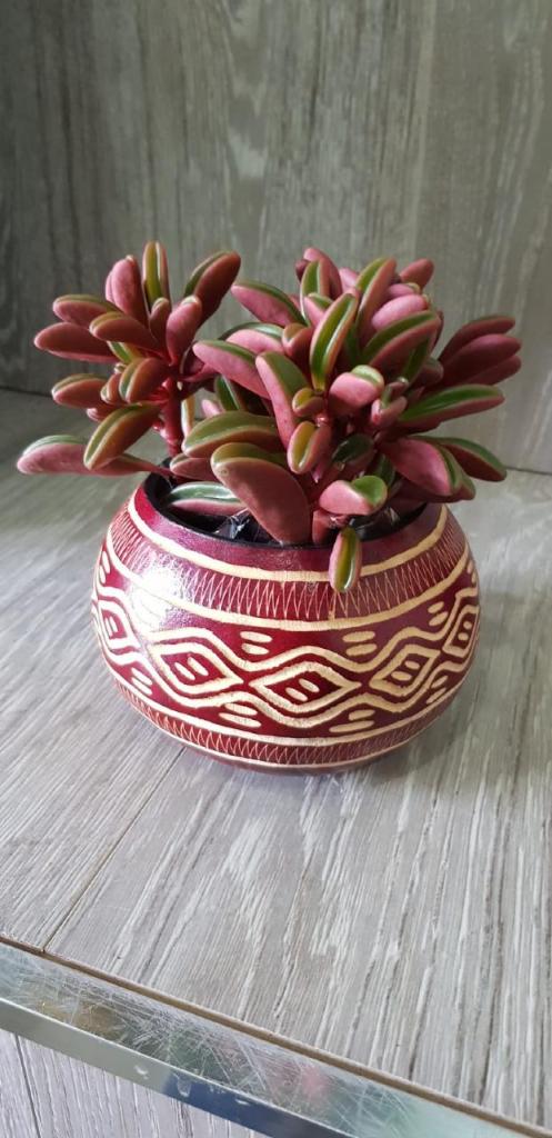 פרחי תמר פרחי תמר