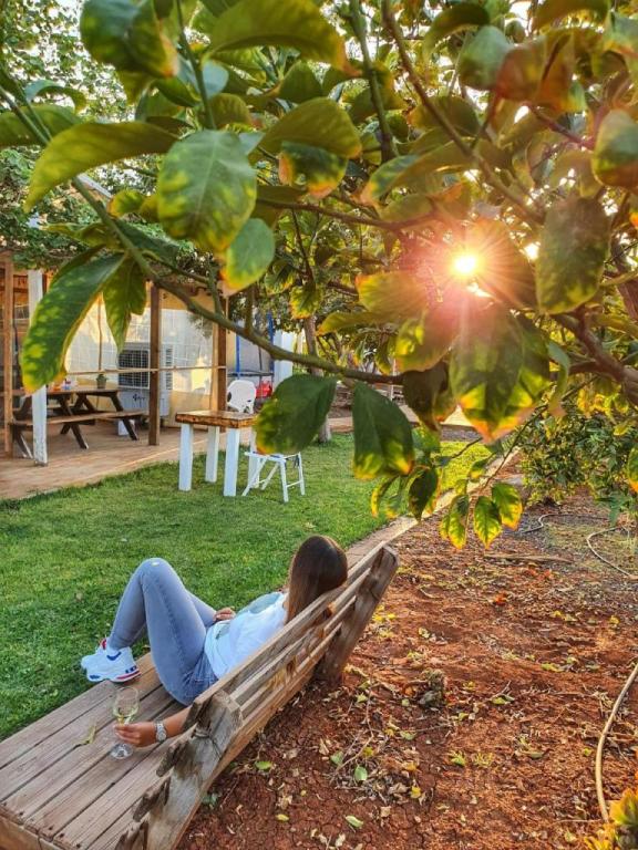 אצל צרפתי אצל צרפתי