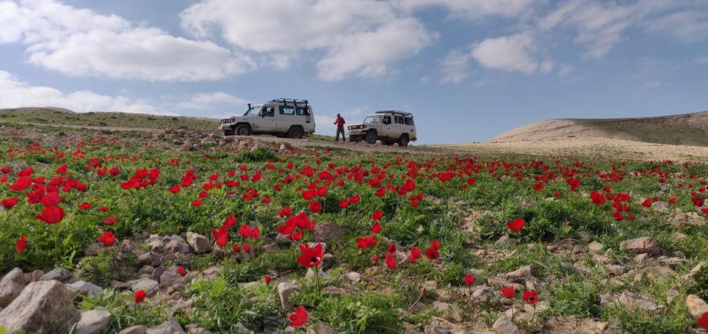 אביב בשטח אביב בשטח