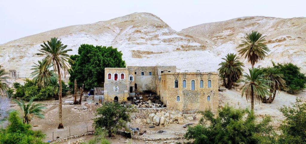 אביב בשטח אביב בשטח