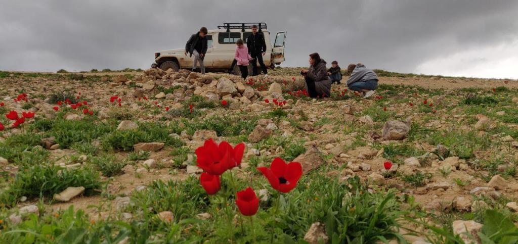 אביב בשטח אביב בשטח