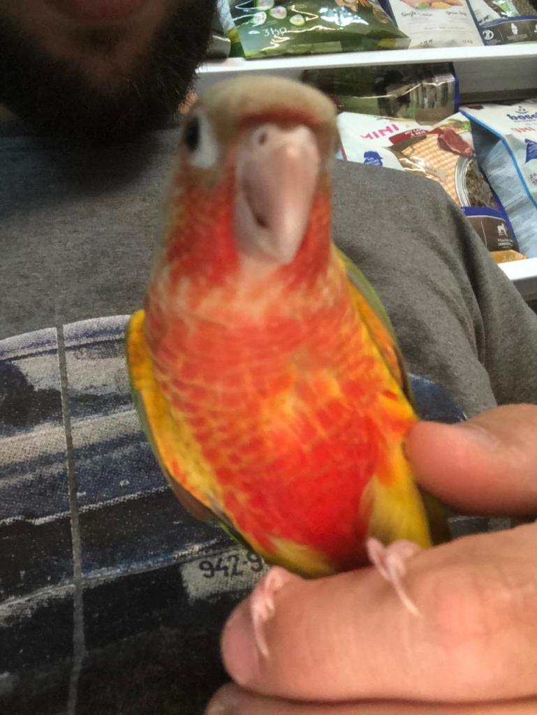 בית החיות נהריה בית החיות נהריה