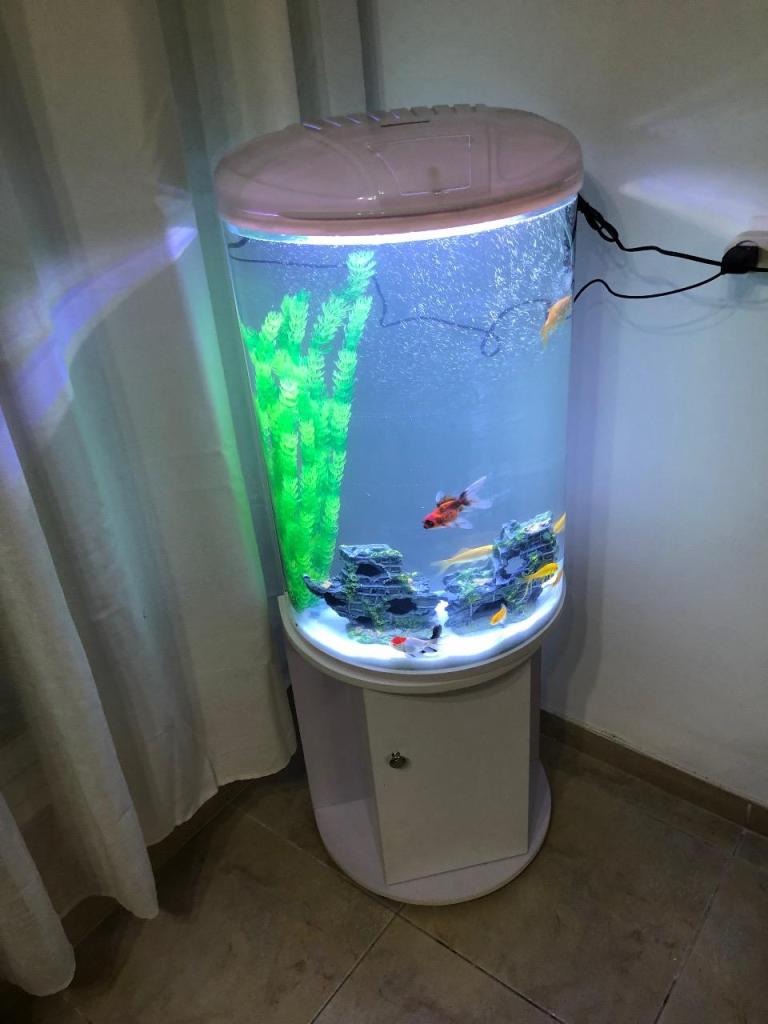 בית החיות נהריה בית החיות נהריה