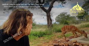 מינוף עסקי