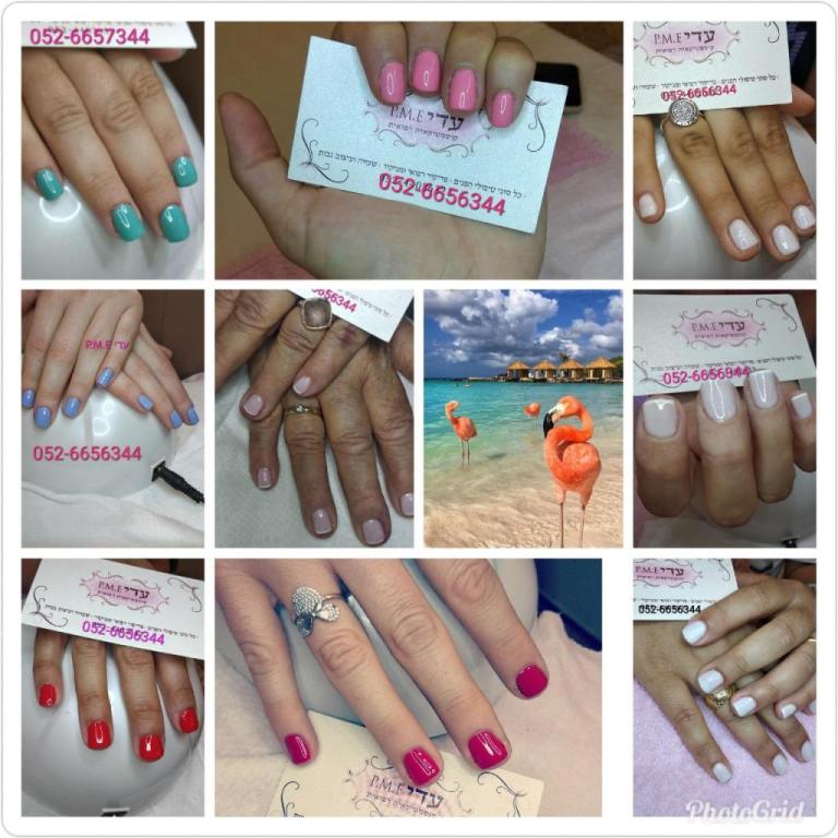 עדי פרץ עדי פרץ