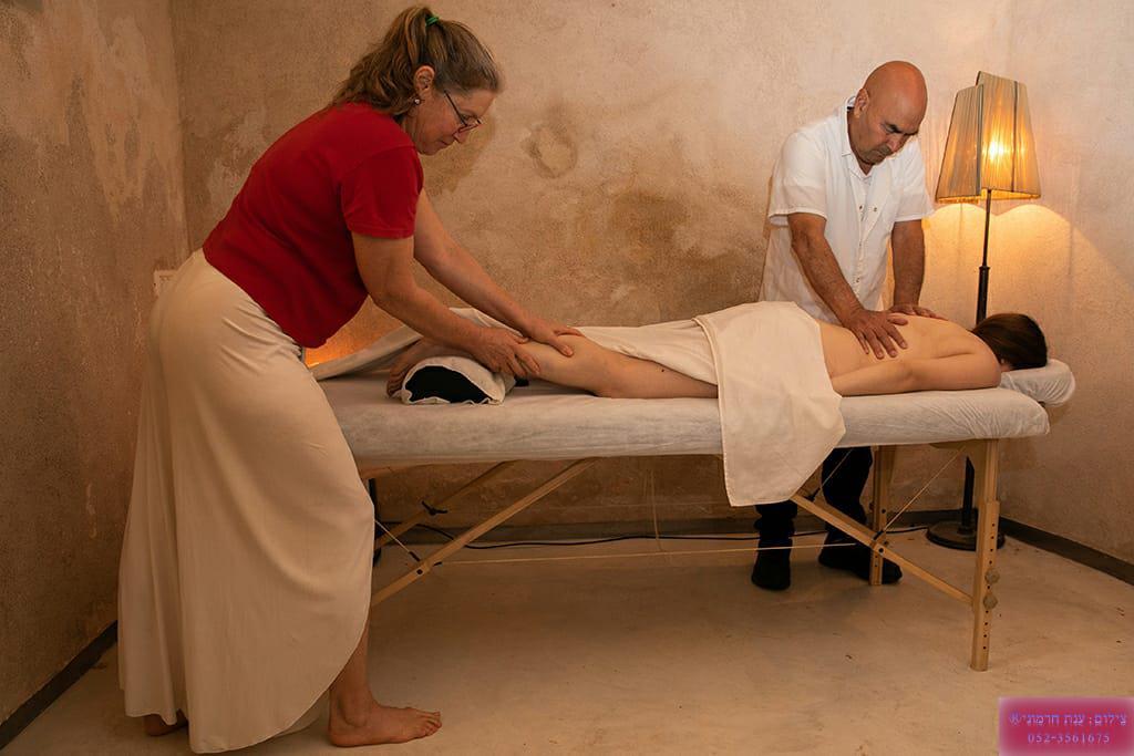 שגית דורון שגית דורון