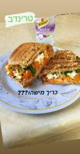 טרינדב