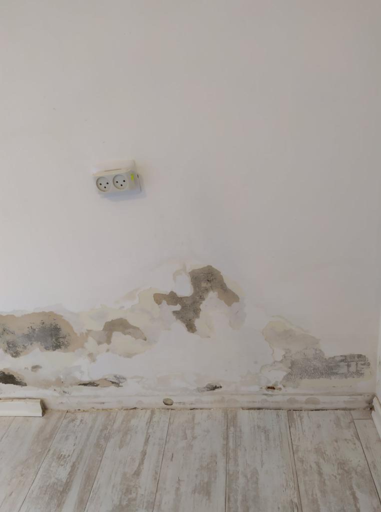 עליזה ארטס עליזה ארטס