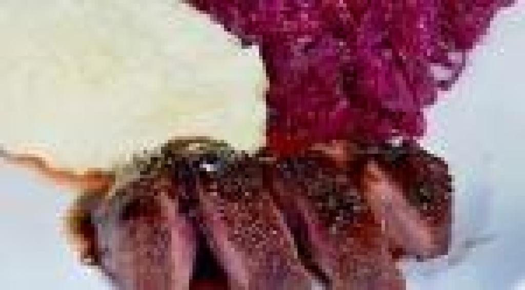 ברווז הבית ברווז הבית