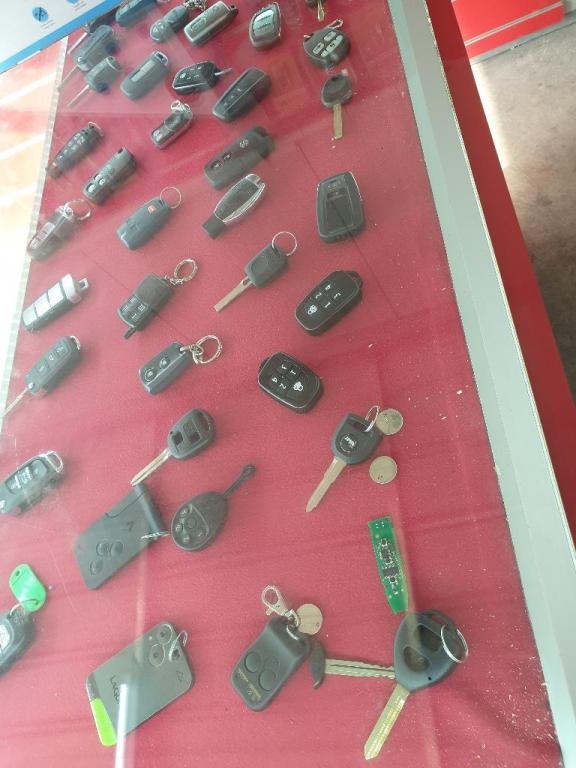 המאסטרו המאסטרו