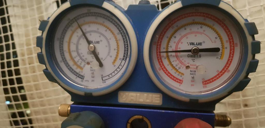 ארז בן דוד ארז בן דוד