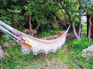 A Home Away From Home