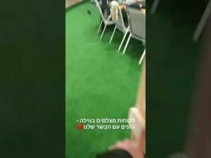 אטליז האחים