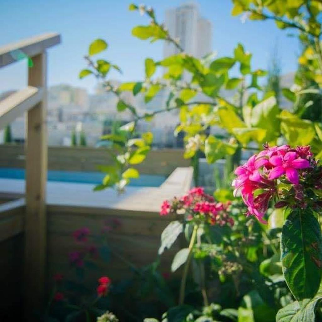 סנדרה סטודיו סנדרה סטודיו