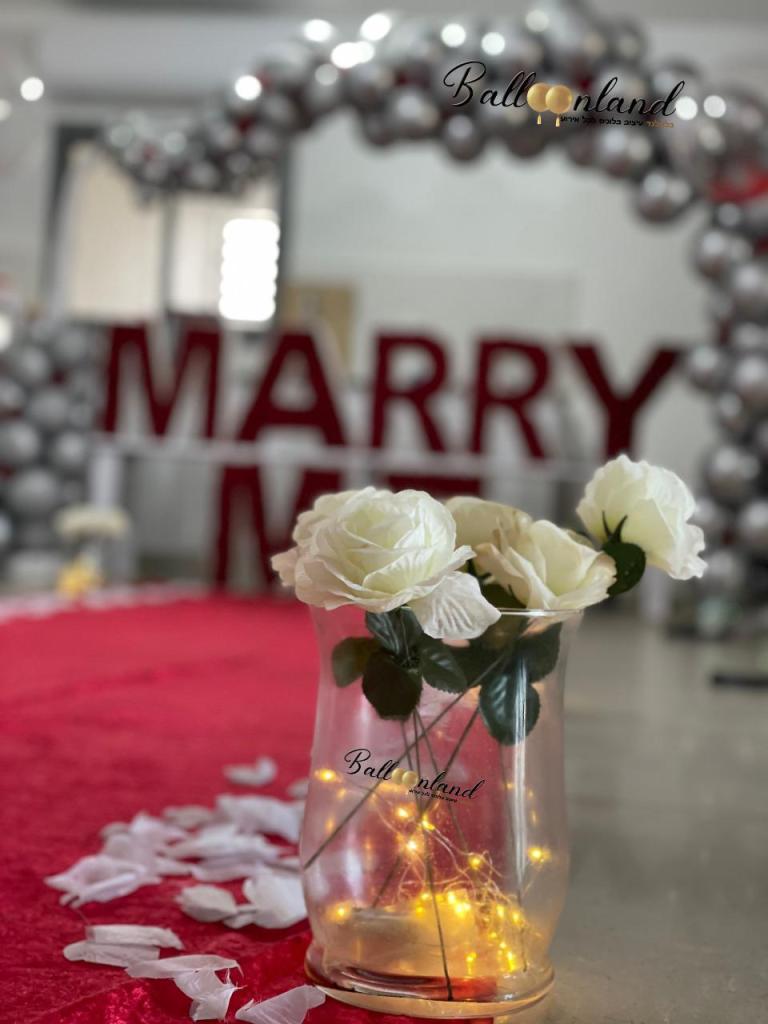 בלונלנד בלונלנד