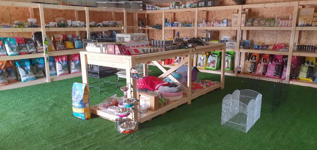 חיות הצפון חיות הצפון