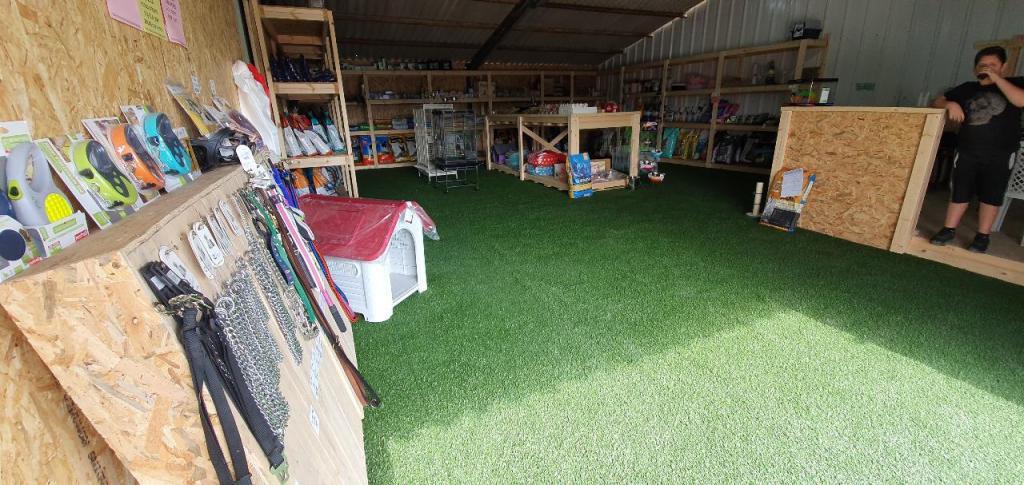 חיות הצפון חיות הצפון