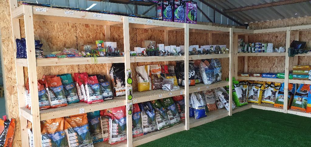 חיות הצפון חיות הצפון