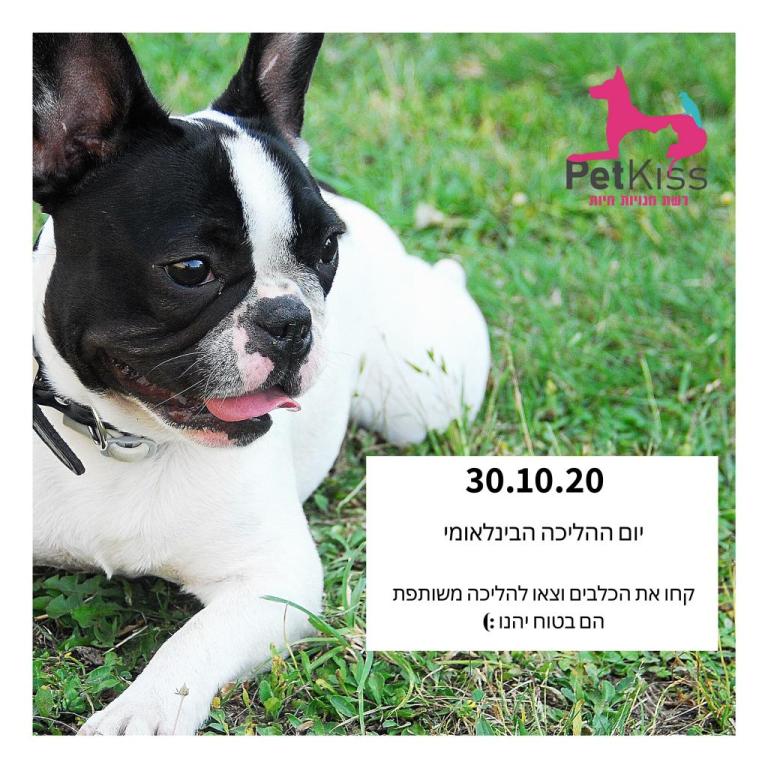 פטקיס פטקיס