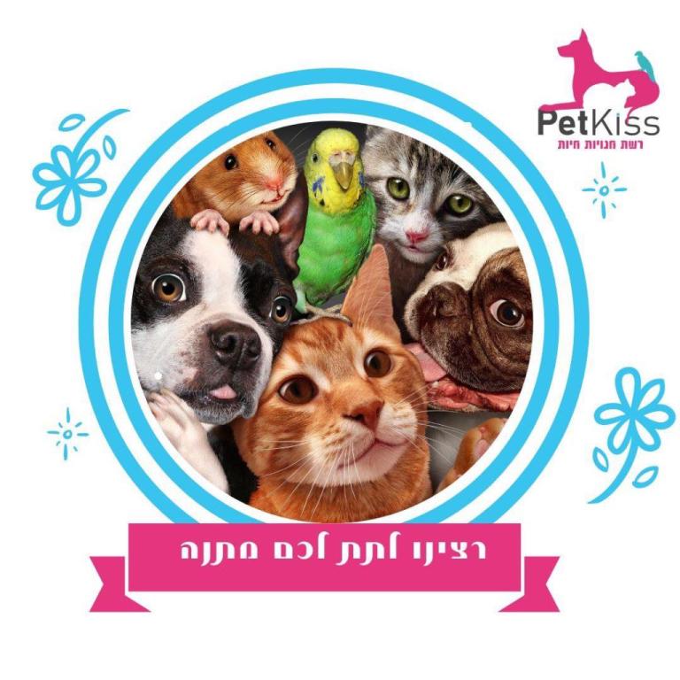 פטקיס פטקיס