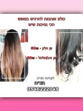 הודיה ביוטי