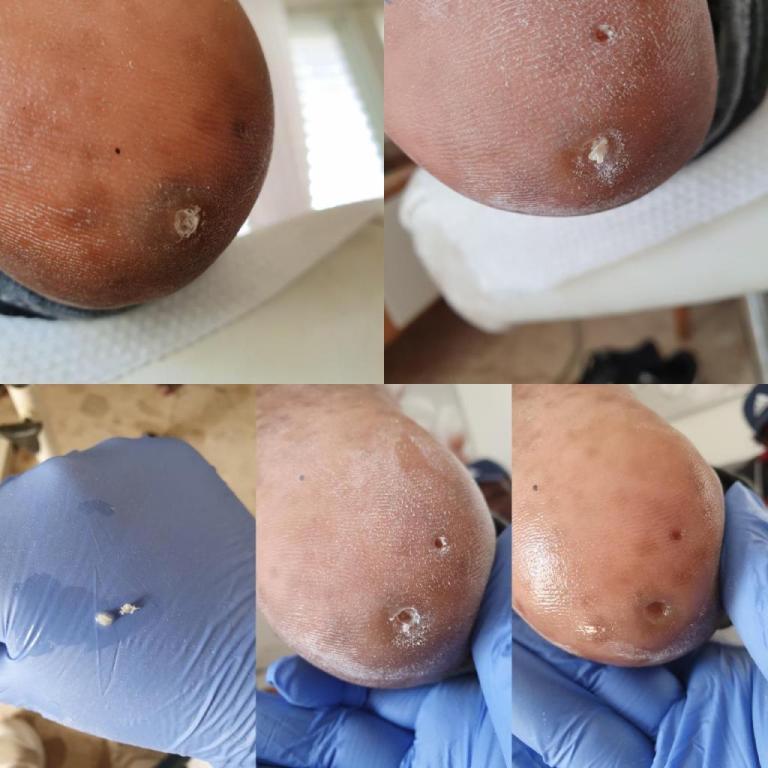 דנה פרץ דנה פרץ