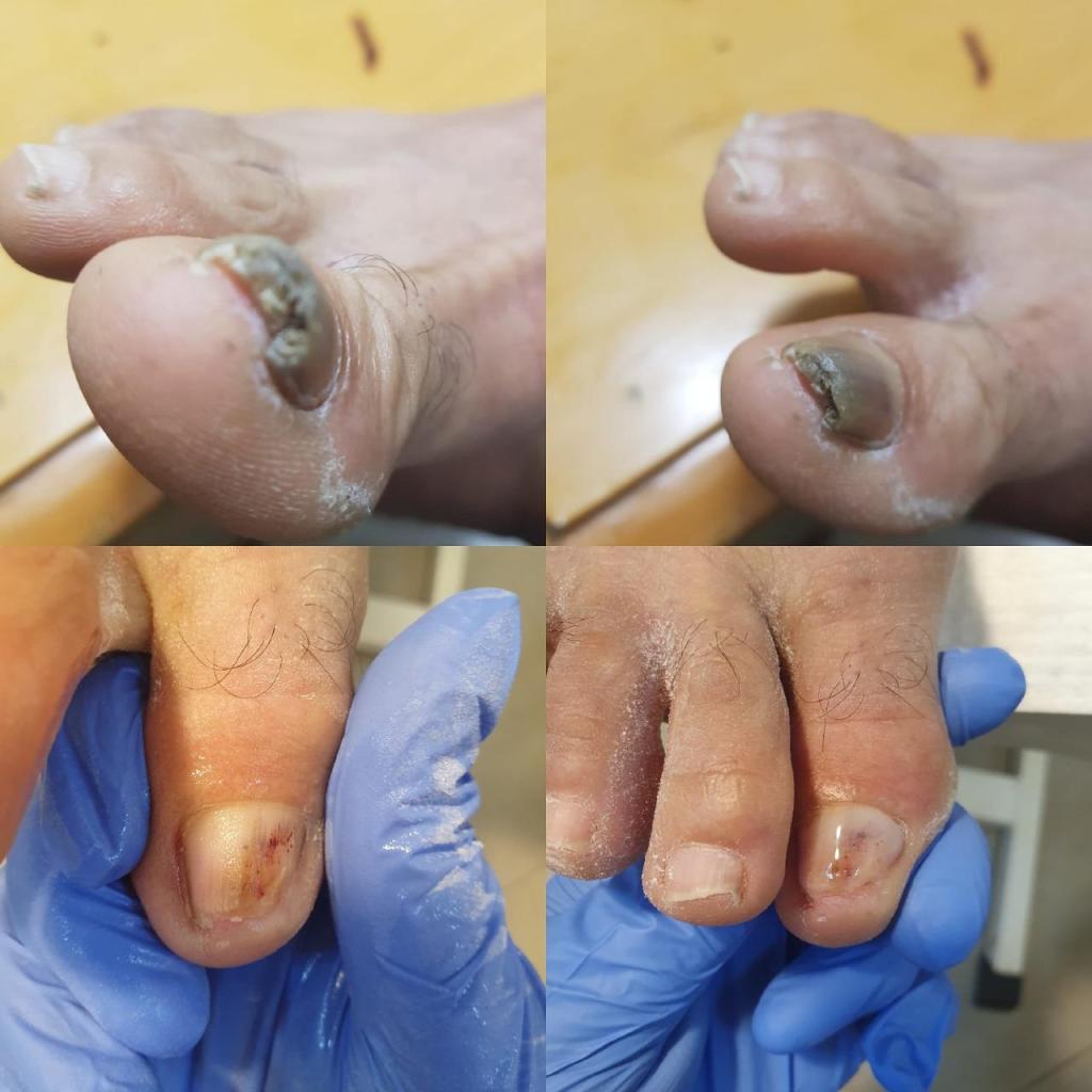 דנה פרץ דנה פרץ