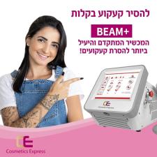 דנה פרץ