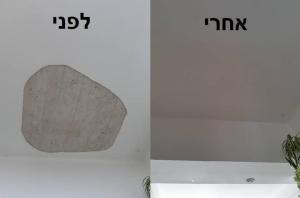 ההנדימן האמין