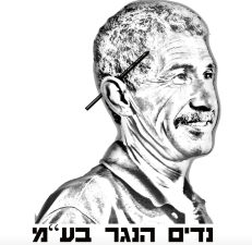 נדים הנגר