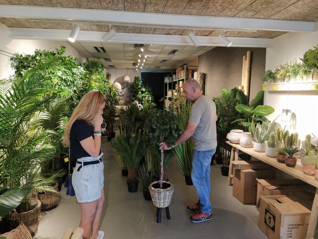 עץ החיים צמחיה דקורטיבית עץ החיים צמחיה דקורטיבית