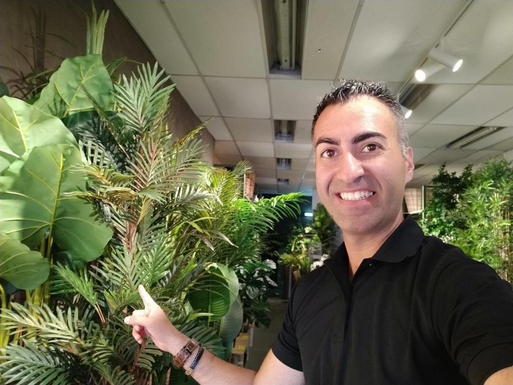 עץ החיים צמחיה דקורטיבית עץ החיים צמחיה דקורטיבית