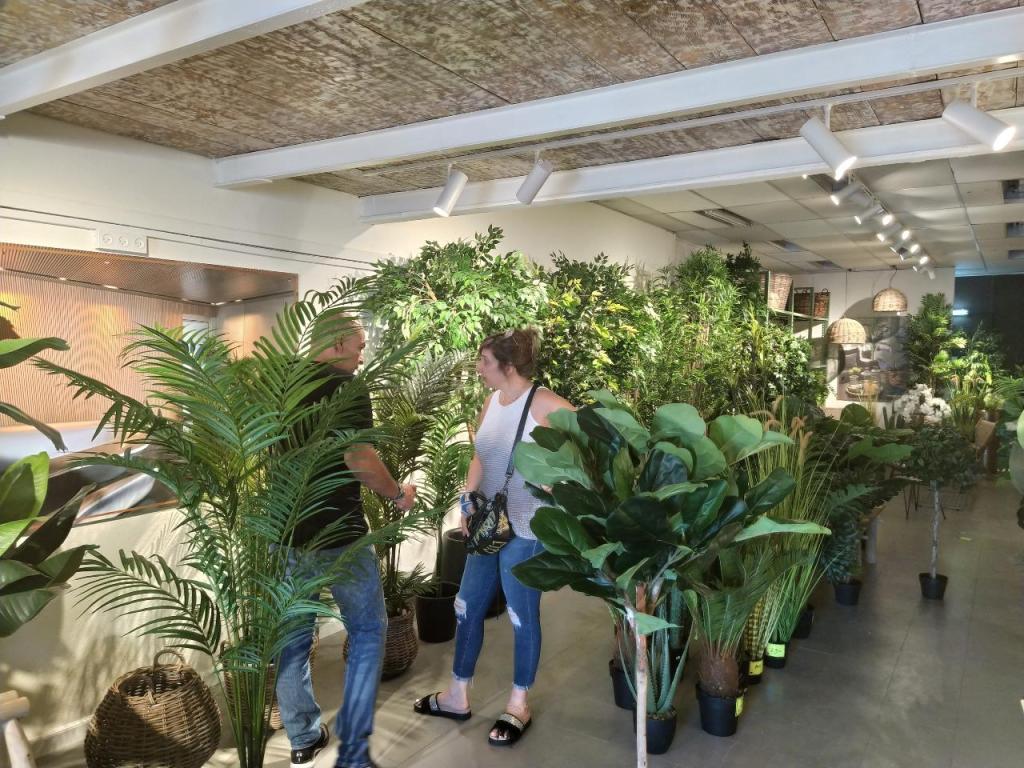 עץ החיים צמחיה דקורטיבית עץ החיים צמחיה דקורטיבית