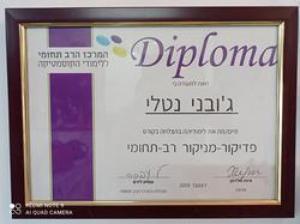 נטלי נייל