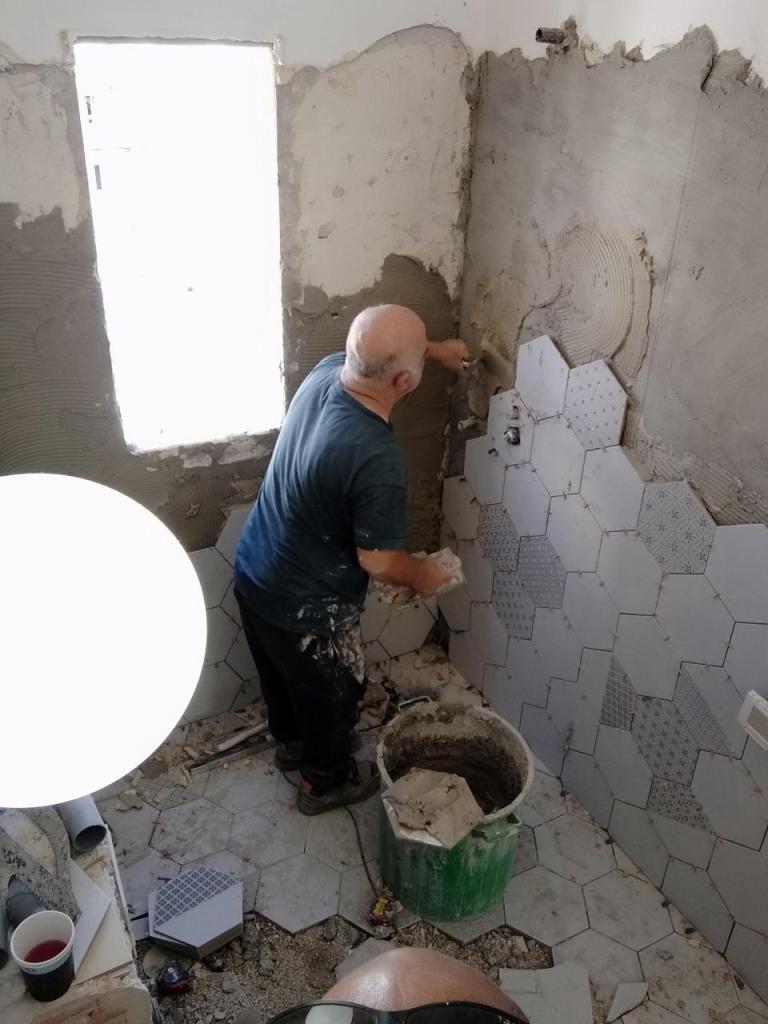 טל מרקביץ טל מרקביץ