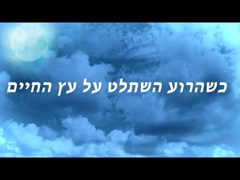 ספר הצללים ספר הצללים