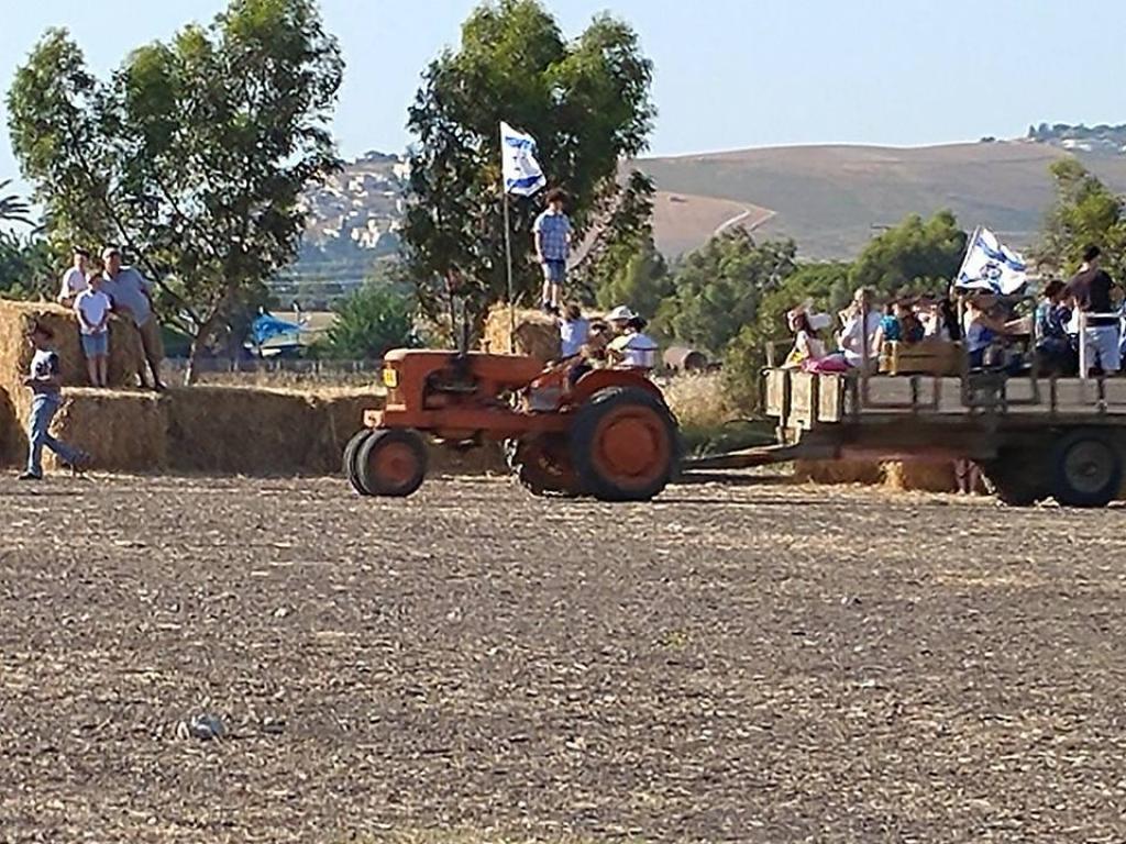 קובי שמואל קובי שמואל