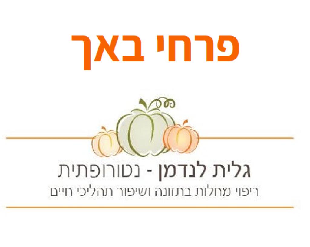 גלית לנדמן גלית לנדמן